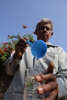 Ejido Benito Juárez, Villaflores. Martes 10 de mayo. Un grupo de ejidatarios de la comunidad Benito Juárez en Villaflores realizan el cultivo de la Palma de Coyol para la elaboración tradicional de La Taberna, la cual es consumida entre los meses de marzo