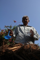 Ejido Benito Juárez, Villaflores. Martes 10 de mayo. Un grupo de ejidatarios de la comunidad Benito Juárez en Villaflores realizan el cultivo de la Palma de Coyol para la elaboración tradicional de La Taberna, la cual es consumida entre los meses de marzo