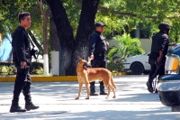 Miércoles 10 de noviembre. Elementos de la Policía Estatal acuden a las instalaciones del Tecnológico Regional donde se recibió alertó una amenaza de bomba esta mañana.