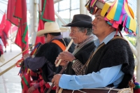 Domingo 11 de febrero del 2018. Tenejapa. La Corrida de la Vaca del Carnaval en Tenejapa. La Corrida de la Vaca conlleva una serie de ritos indí­genas tsentales durante los dí­as de Carnaval. Los danzantes llevan las banderas en un sincronizado andar sobr