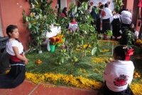 Jueves 1 de noviembre del 2012. Tenejapa, Chiapas.Foto/CH. Indígenas de los altos de Chiapas se reunen en los pasillos del edificio de la autoridad municipal de esta comunidad para presentar una muestra de altares indígenas en un intento de rescatar las t