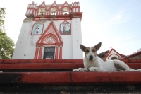 Sábado 9 de septiembre del 2017. Tuxtla Gutiérrez. Las huellas del fuerte temblor se observan en algunos de los edificios públicos y casas de los pueblos chiapanecos.