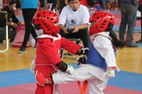 Sábado 18 de noviembre del 2017. Tuxtla Gutiérrez. Aspectos del Torneo Estatal de Tae Kwon Do Justicia Para Todos que se lleva a cabo esta mañana en las instalaciones de la Arena Metropolitana Jorge Cuesy