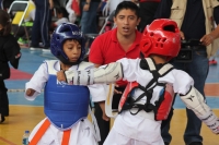 Sábado 18 de noviembre del 2017. Tuxtla Gutiérrez. Aspectos del Torneo Estatal de Tae Kwon Do Justicia Para Todos que se lleva a cabo esta mañana en las instalaciones de la Arena Metropolitana Jorge Cuesy