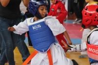 Sábado 18 de noviembre del 2017. Tuxtla Gutiérrez. Aspectos del Torneo Estatal de Tae Kwon Do Justicia Para Todos que se lleva a cabo esta mañana en las instalaciones de la Arena Metropolitana Jorge Cuesy