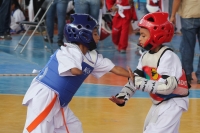 Sábado 18 de noviembre del 2017. Tuxtla Gutiérrez. Aspectos del Torneo Estatal de Tae Kwon Do Justicia Para Todos que se lleva a cabo esta mañana en las instalaciones de la Arena Metropolitana Jorge Cuesy
