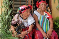 Jueves 7 de junio el 2018. Tuxtla Gutiérrez. Tonguy Etze, Baile de las Espuelas o La Octava de Corpus es una de las danzas tradicionales reconocidas dentro del complejo de festejos de la comunidad de la etnia zoque, en donde los participantes se reúnen 