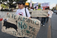 Domingo 27 de febrero. Organizaciones civiles marchan este medio dÃa en la Av central para exigir a las autoridades el respeto por los animales y en contra de las corridas de toros realizando una representación de la violencia en la tauromaquia y la vejac Domingo 27 de febrero. Organizaciones civiles marchan este medio dÃa en la Av central para exigir a las autoridades el respeto por los animales y en contra de las corridas de toros realizando una representación de la violencia en la tauromaquia y la vejac