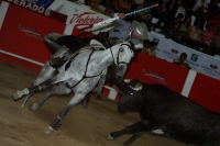 Corrida de toros en la reinauguración de la Plaza de San Roque, con el Zotoluco, Pizarro y Pablo Hermoso de Mendosa, esta noche.