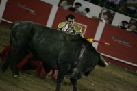 Corrida de toros en la reinauguración de la Plaza de San Roque, con el Zotoluco, Pizarro y Pablo Hermoso de Mendosa, esta noche.