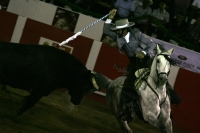 Corrida de toros en la reinauguración de la Plaza de San Roque, con el Zotoluco, Pizarro y Pablo Hermoso de Mendosa, esta noche.