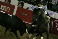 Corrida de toros en la reinauguración de la Plaza de San Roque, con el Zotoluco, Pizarro y Pablo Hermoso de Mendosa, esta noche.