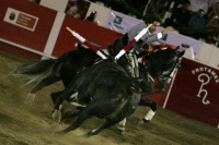 Corrida de toros en la reinauguración de la Plaza de San Roque, con el Zotoluco, Pizarro y Pablo Hermoso de Mendosa, esta noche. Corrida de toros en la reinauguración de la Plaza de San Roque, con el Zotoluco, Pizarro y Pablo Hermoso de Mendosa, esta noche.