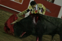 Corrida de toros en la reinauguración de la Plaza de San Roque, con el Zotoluco, Pizarro y Pablo Hermoso de Mendosa, esta noche.