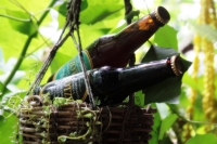 Sábado 13 de julio del 2014. Tuxtla Gutiérrez. La Cerveza Artesanal Tzotzil es elaborada con malta y caramelo o con tonos frutales y florales además de ser filtrada con granos tostados y molidos de café por lo que es considerada una bebida gourmet dedicad