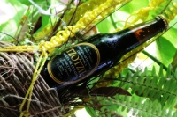 Sábado 13 de julio del 2014. Tuxtla Gutiérrez. La Cerveza Artesanal Tzotzil es elaborada con malta y caramelo o con tonos frutales y florales además de ser filtrada con granos tostados y molidos de café por lo que es considerada una bebida gourmet dedicad
