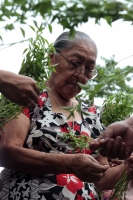 Sábado 7 de septiembre del 2019. San Fernando. Los ritos costumbristas que se realizan en la zona boscosa del Tzimbac durante los preparativos de los festejos de la Virgen del Rosario en la comunidad que los pobladores llamaron Cabeza de Agua o Tzonoapan
