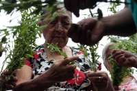 Sábado 7 de septiembre del 2019. San Fernando. Los ritos costumbristas que se realizan en la zona boscosa del Tzimbac durante los preparativos de los festejos de la Virgen del Rosario en la comunidad que los pobladores llamaron Cabeza de Agua o Tzonoapan