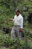 Martes 24 de mayo. Dentro de los terrenos de la comunidad Las Maravillas del Municipio de Coapilla se ubica la UMA para la reproducción de Venados de Cola Blanca donde se observan varios de estos animales viviendo y alimentándose dentro de los bosques del