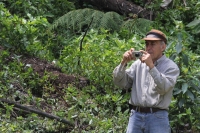 Martes 24 de mayo. Dentro de los terrenos de la comunidad Las Maravillas del Municipio de Coapilla se ubica la UMA para la reproducción de Venados de Cola Blanca donde se observan varios de estos animales viviendo y alimentándose dentro de los bosques del Martes 24 de mayo. Dentro de los terrenos de la comunidad Las Maravillas del Municipio de Coapilla se ubica la UMA para la reproducción de Venados de Cola Blanca donde se observan varios de estos animales viviendo y alimentándose dentro de los bosques del