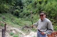 Martes 24 de mayo. Dentro de los terrenos de la comunidad Las Maravillas del Municipio de Coapilla se ubica la UMA para la reproducción de Venados de Cola Blanca donde se observan varios de estos animales viviendo y alimentándose dentro de los bosques del