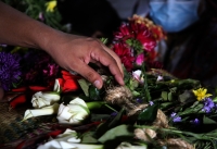 20210114. Tuxtla g. La importancia de las flores en los rituales Zoques. La bajada de las Vírgenes de Copoya. Virgen del Rosario.