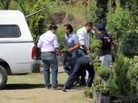 Viernes 4 de febrero.  Elementos Policiacos cierran el cruce de las avenidas Rosa del Poniente y Calzada del Articulo 123 donde varios MP realizan un operativo en un vivero sin que al momento se diera a conocer una versión oficial del suceso salvo de la v