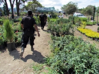 Viernes 4 de febrero.  Elementos Policiacos cierran el cruce de las avenidas Rosa del Poniente y Calzada del Articulo 123 donde varios MP realizan un operativo en un vivero sin que al momento se diera a conocer una versión oficial del suceso salvo de la v