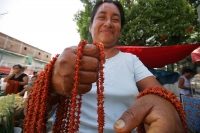 Las flores de Zicáte son utilizadas para la elaboración de collares para ser utilizado en las diferentes celebraciones del mes de mayo en la cultura de la etnia Zoque de la depresión central del estado de Chiapas.
