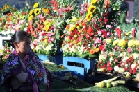 Viernes 2 de noviembre del 2018. San Lorenzo Zinacantan. La solemnidad y colorido de las costumbres de los pueblos tsotsiles llena de luz las celebraciones del dÃÂa de muertos en el panteón de la comunidad de Zinacantan. Viernes 2 de noviembre del 2018. San Lorenzo Zinacantan. La solemnidad y colorido de las costumbres de los pueblos tsotsiles llena de luz las celebraciones del dÃÂa de muertos en el panteón de la comunidad de Zinacantan.