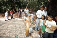 El ZOOMAT; Zoológico Miguel Álvarez del Toro reporto un afluente de visitantes de más de 28.000 personas en esta semana santa siendo el día martes pasado el día que tuvo 4,965 turistas, cifras que apenas quedan en el record 500 personas menos que el año p
