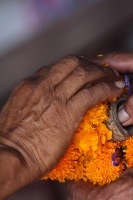 Martes 25 de octubre del 2016. Tuxtla Gutiérrez. Flor de cempasúchil o musajoyo. La ermita del Cerrito es adornada con flores de cempasúchil o musajoyo, ofrenda que es arreglada delicadamente por los maestros tradicionales de la comunida zoque