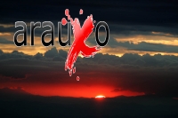 En la Sur 190