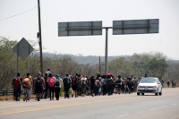 20240410. Tuxtla. Caravana de migrantes caminan bajo el sol del mediodía entre las ciudades de Berriozábal y Cintalapa.