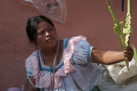 20240324. Tuxtla. Entre flores de Ziquete y Primavera, Ramos de Palmas, los artesanos tsentales y zoques ofrecen las ofrendas para las celebraciones tradicionales en los mercados públicos del Barrio del Calvario en centro de la capital de Chiapas