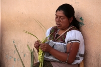 20240324. Tuxtla. Entre flores de Ziquete y Primavera, Ramos de Palmas, los artesanos tsentales y zoques ofrecen las ofrendas para las celebraciones tradicionales en los mercados públicos del Barrio del Calvario en centro de la capital de Chiapas