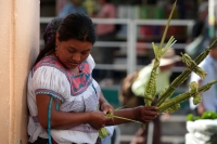 20240324. Tuxtla. Entre flores de Ziquete y Primavera, Ramos de Palmas, los artesanos tsentales y zoques ofrecen las ofrendas para las celebraciones tradicionales en los mercados públicos del Barrio del Calvario en centro de la capital de Chiapas