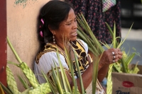 20240324. Tuxtla. Entre flores de Ziquete y Primavera, Ramos de Palmas, los artesanos tsentales y zoques ofrecen las ofrendas para las celebraciones tradicionales en los mercados públicos del Barrio del Calvario en centro de la capital de Chiapas