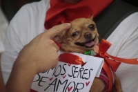 20240630. Tuxtla. Organizaciones defensoras de los animales marchan esta tarde exigiendo leyes que velen por los derechos de las mascotas en Chiapas.