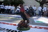 20250116. Tuxtla. Galleros y carreros realizan una protesta este medio día para evitar que se prohíban las carreras de caballos y el juego de gallos en Chiapas.