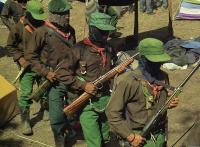 Ezln 1995