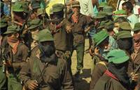Ezln 1995