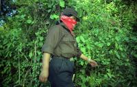 Ezln 1995