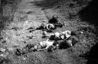 Ezln 1994