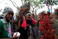 Chiapa de Corzo, 21 de diciembre. Después de permanecer 6 días en la zona boscosa de los altos de Chiapas, los jóvenes originarios de Chiapa de Corzo, regresan a esta localidad cargando racimos de flores conocidas como Nilurayilu, la cual es utilizada en 