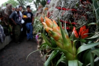 Chiapa de Corzo, 21 de diciembre. Después de permanecer 6 días en la zona boscosa de los altos de Chiapas, los jóvenes originarios de Chiapa de Corzo, regresan a esta localidad cargando racimos de flores conocidas como Nilurayilu, la cual es utilizada en 