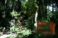 Jardin Botanico