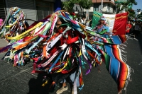 Tuxtla Gutiérrez, 6 de diciembre. Diferentes grupos de peregrinos continúan llegando a la parroquia de Guadalupe en esta ciudad. Vestidos a la usanza chiapaneca, bailan y cantan ofreciendo el recorrido a la patrona de México.